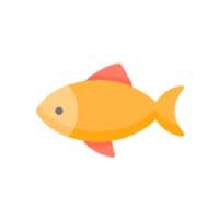 মাছ মাংস